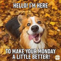 Image result for Happy Monday Baby Meme