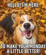 Image result for Funny Memes About Monday