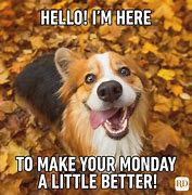 Image result for Awesome Week Monday Memes