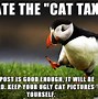 Image result for Cat Tax Meme