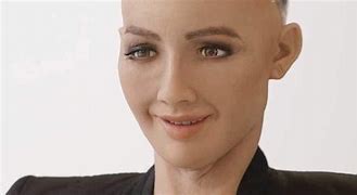 Image result for Elon Musk Waifu Robot