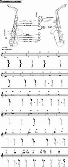 Alto Sax Chart It S Been So Long Since I Played
