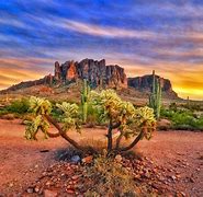 Image result for Arizona State Map