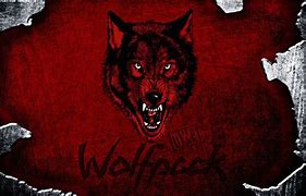 Image result for NWO Wolfpack