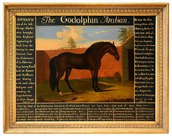 Image result for Godolphin Arabian