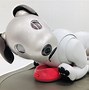 Image result for Sony Aibo Pink