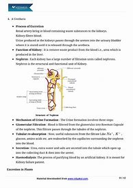 Image result for Class 10 Science Life Processes Notes