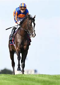Image result for Auguste Rodin Breeders' Cup