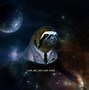 Image result for Sloth Using Computer