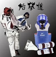 Image result for Taekwondo Equipment