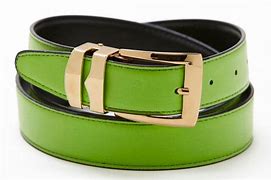 Image result for iPhone 6 Tune Belt