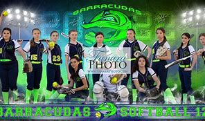 Image result for Stock Eliminator Barracudas