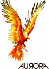 Image result for PHOENIX