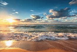 Image result for America Beaches