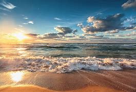 Image result for America Beaches