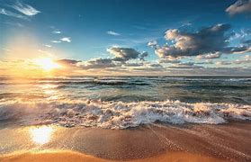 Image result for America Beach