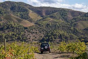 Image result for Gratavinum Priorat Dolc d'en Pique