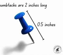Image result for Is 2 Inches Enough