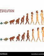 Image result for Human Evolution Going On
