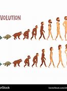 Image result for Man Evolution Chart