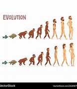 Image result for Evolution of Man Diagram