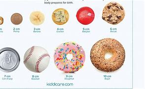 Image result for Childbirth Dilation Chart