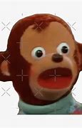 Image result for Surprised Monkey Meme