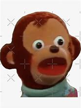 Image result for Surprised Monkey Meme