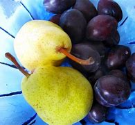 Image result for pears plums