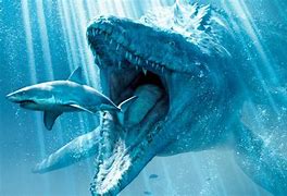 Image result for Top 10 Biggest Dinosaurs Ever