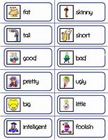 Image result for French Adjectives Flashcards