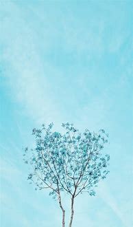 Image result for Simple Aesthetic iPhone Wallpaper