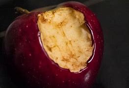 Image result for Cartoon Apple with Bite