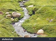 Image result for A Small Stream