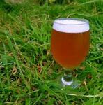 Image result for New IPA