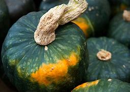Image result for Squash Shaped Like Hourglass