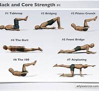 Image result for Back and Core Workout