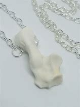 Image result for Animal Bone Necklace