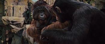 Image result for Dawn of the Planet of the Apes Maurice