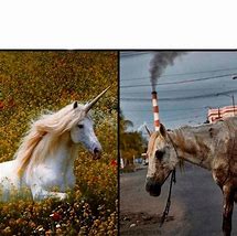 Image result for Real Unicorn Meme