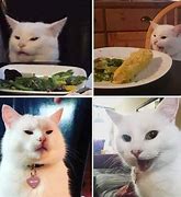Image result for Cat at Table Meme