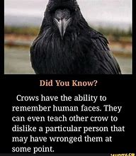 Image result for Point Crow Memes