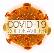 Image result for Covid 19 Virus Structure