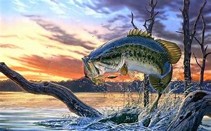 Image result for Bass Fishing Wallpaper Art