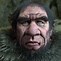 Image result for Homo Neanderthalensis