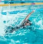Image result for Muscles Swimming Works