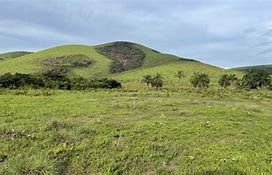 Image result for Kingakati Parc