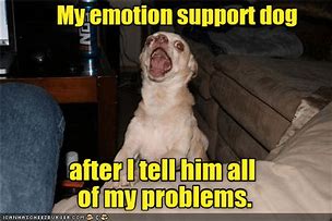Image result for My Emotional Support Dog Meme