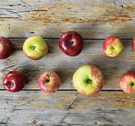 Image result for 10 Types of Apple's