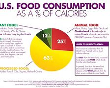 Image result for Plant-Based Diet Food Pyramid